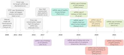 The Advances of Single-Cell RNA-Seq in Kidney Immunology